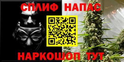 ПСИЛОЦИБИНОВЫЕ ГРИБЫ Кингисепп