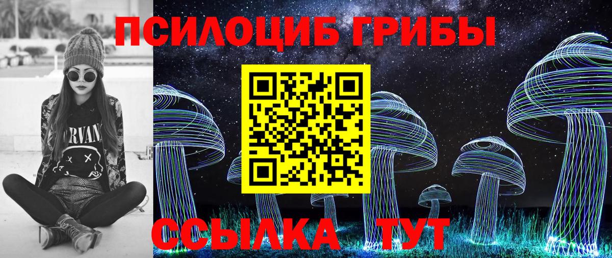 Псилоцибиновые грибы MAGIC MUSHROOMS  Вход с VPN  Кузнецк  Псилоцибиновые грибы GOLDEN TEACHER 